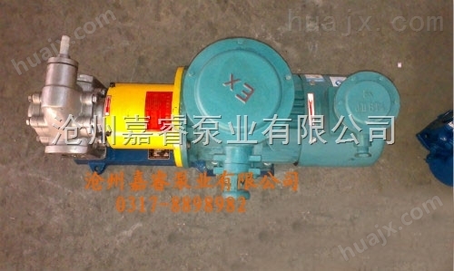 齿轮油泵厂家供应KCB不锈钢齿轮泵